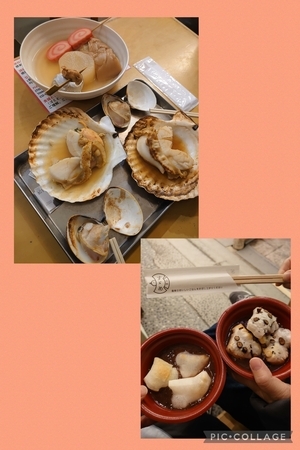 Collage_2024-02-02_15_45_51_コピー